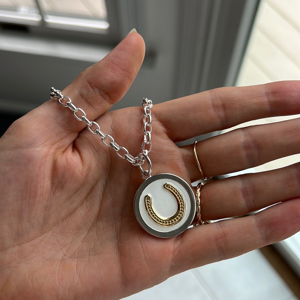 Horseshoe necklace
